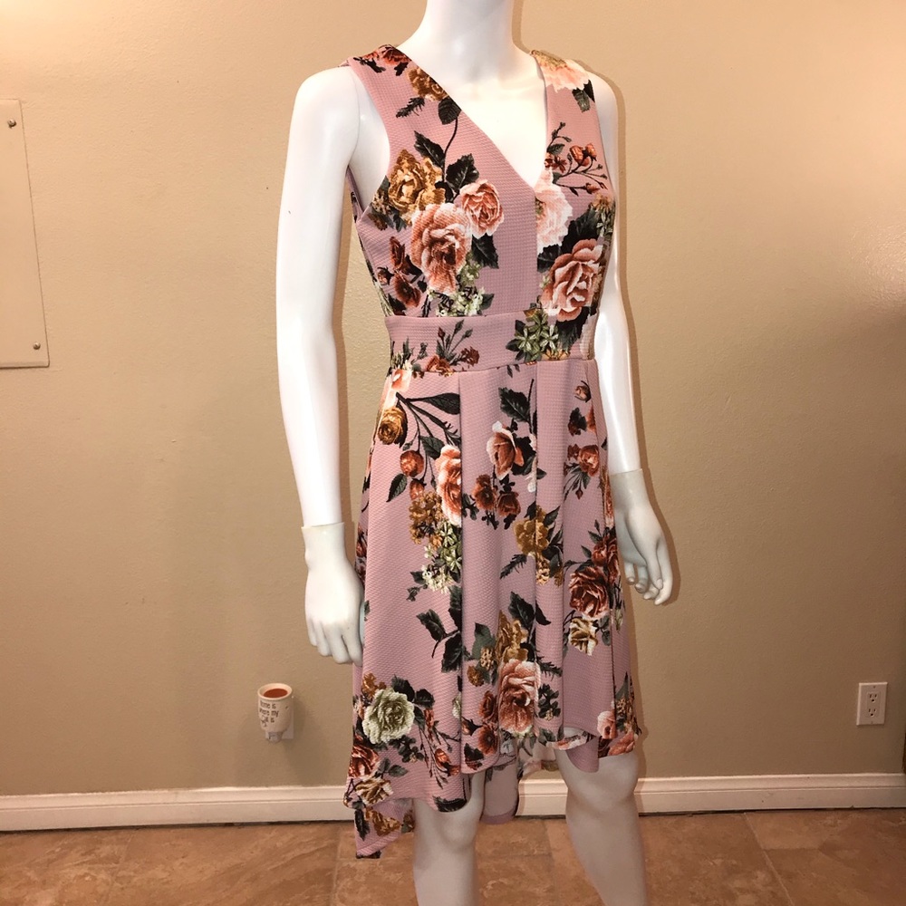 Haute Monde Sleeveless Floral Dress Size Large Pink Fit Flare Cottage Romantic